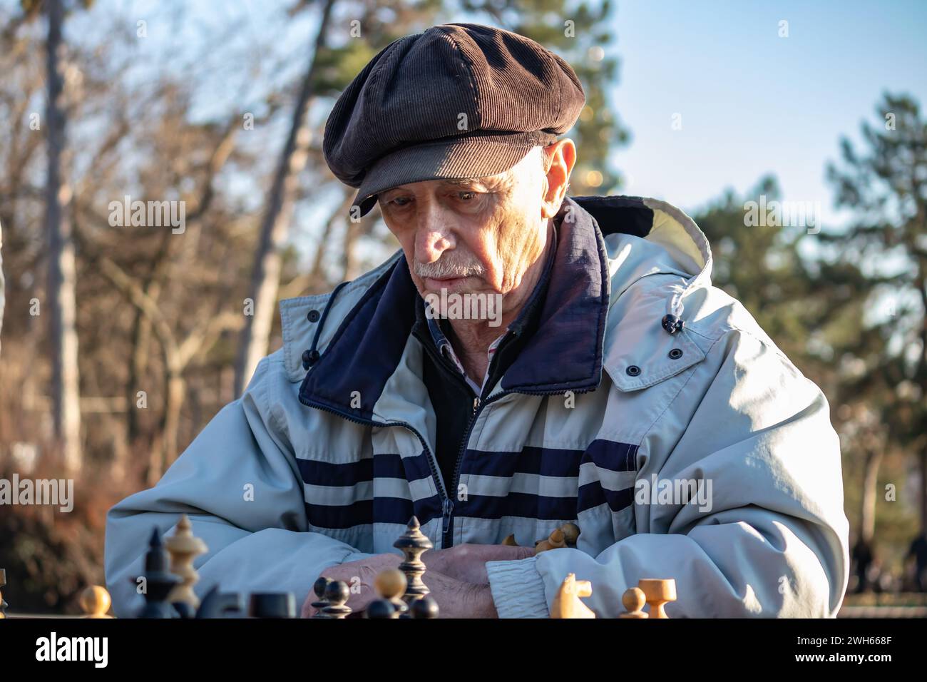 Group of elder people in 70's enjoying company and playing chess with friends in public park on sunny day Stock Photo