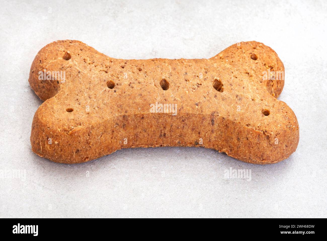 single large dog biscuit in bone shape on mottled grey Stock Photo