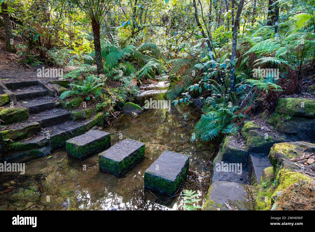Large cut stone blocks at a creek crossing along the lush green Five Waterfall Walk at Lawson, New South Wales, Australia Stock Photo