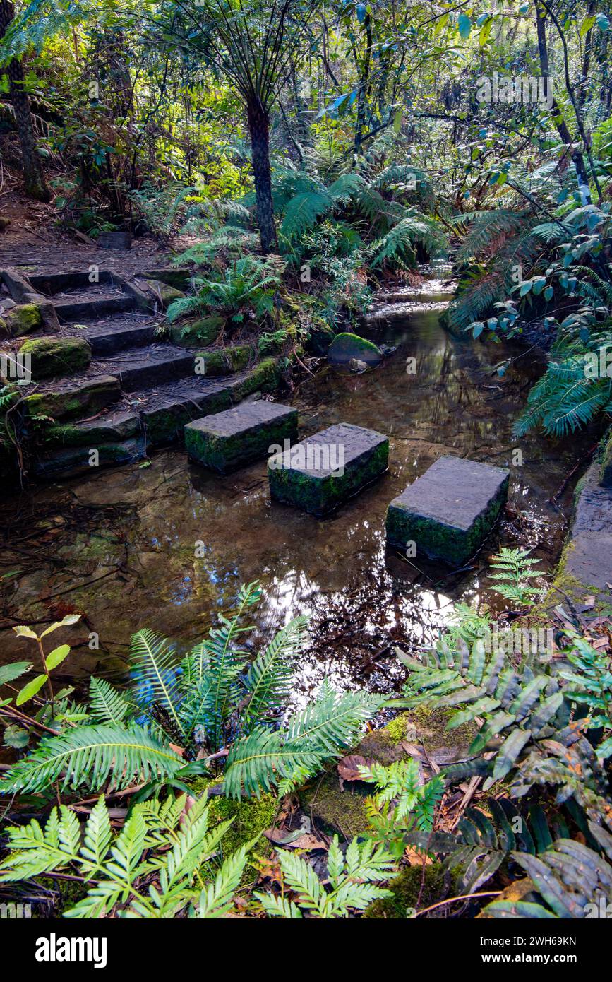 Large cut stone blocks at a creek crossing along the lush green Five Waterfall Walk at Lawson, New South Wales, Australia Stock Photo