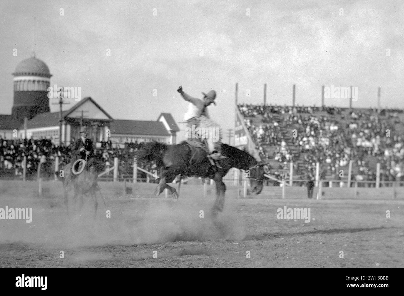 Calgary Stampede, Canada.  1919.  'Emery Le Grand on a high one'.  Man bronco riding horse in rodeo event Stock Photo