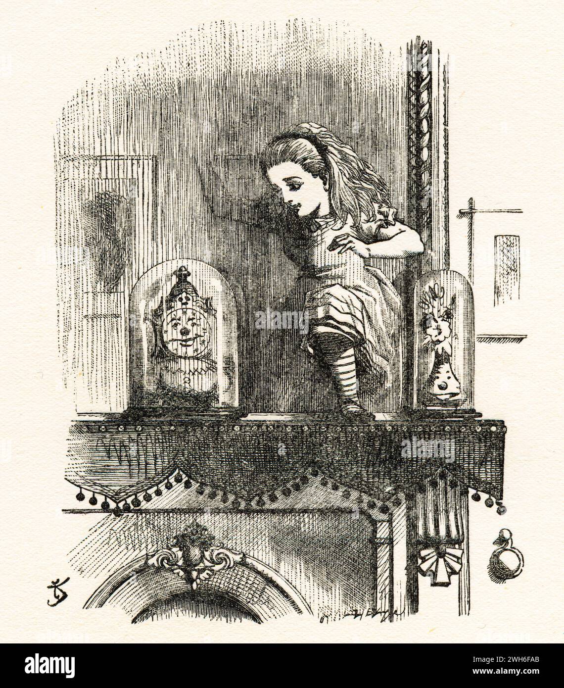 Through The Looking-Glass, by Lewis Carroll, illustrations by John Tenniel, 1927 Stock Photo
