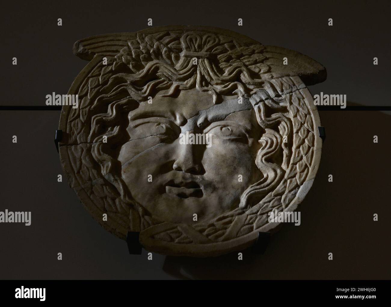 Medusa snakes hi-res stock photography and images - Alamy