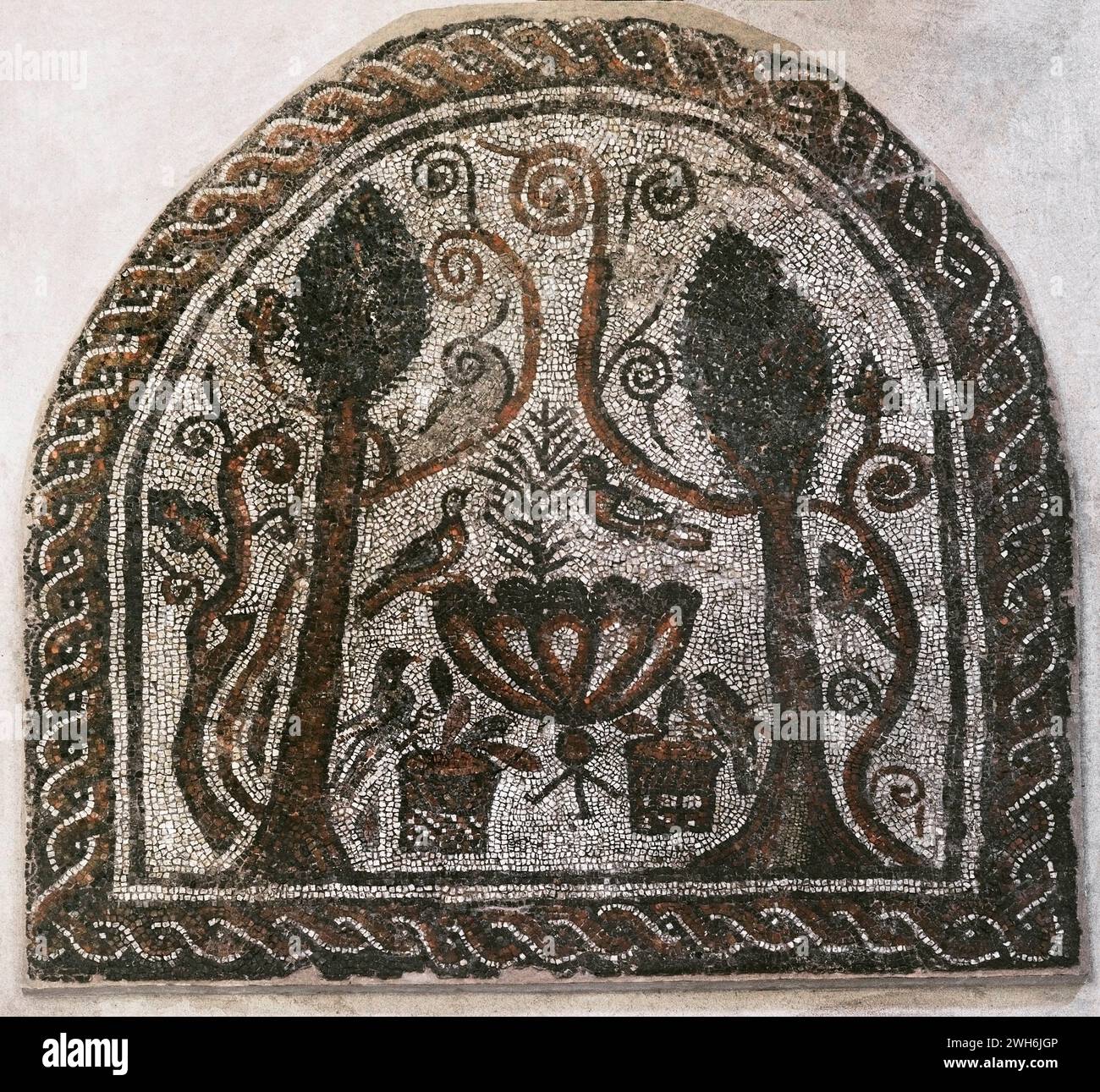 Floor mosaic from the Basilica of  St. Sophia in Sofia, Bulgaria. It was located in the apse of the first ecclesiastical building on the site of the basilica. First quarter of the 4th century AD. Symbolic depiction of the Christian Paradise. Two cypresses on both sides, intertwined with vine branches (rinceaux). The doves represent the souls of believers. Made of stone and coloured glass tesserae using the opus vermiculatum and opus tesselatum techniques. 2,70 x 2,60 m. National Archaeological Museum. Sofia. Bulgaria. Stock Photo