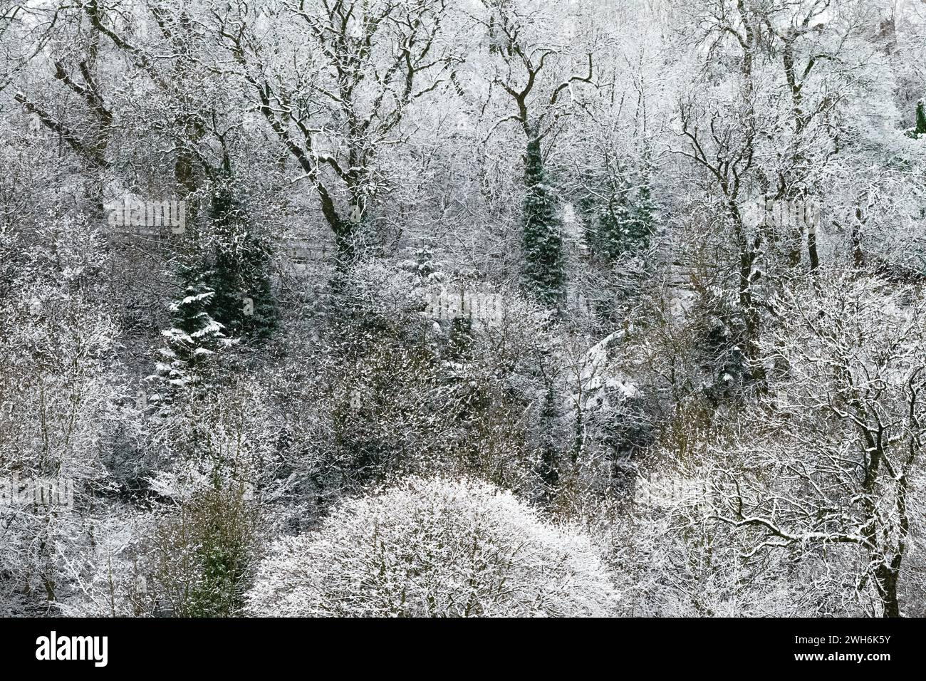 Cover in snow hi-res stock photography and images - Alamy
