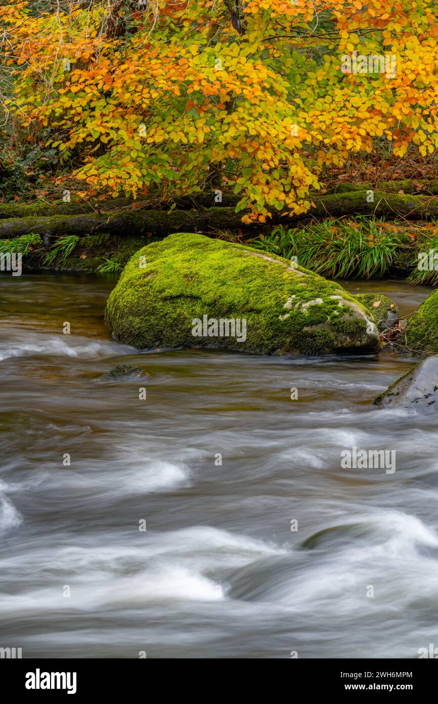 Autumn view on the river Avon Dwyfor near Llanystumdwy Wales Stock Photo