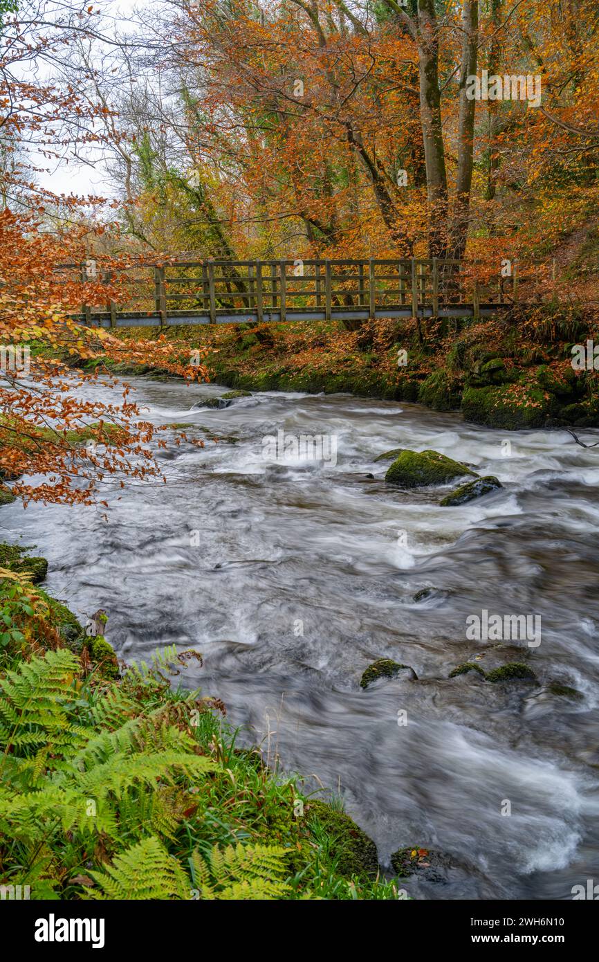 Autumn view on the river Avon Dwyfor near Llanystumdwy Wales Stock Photo