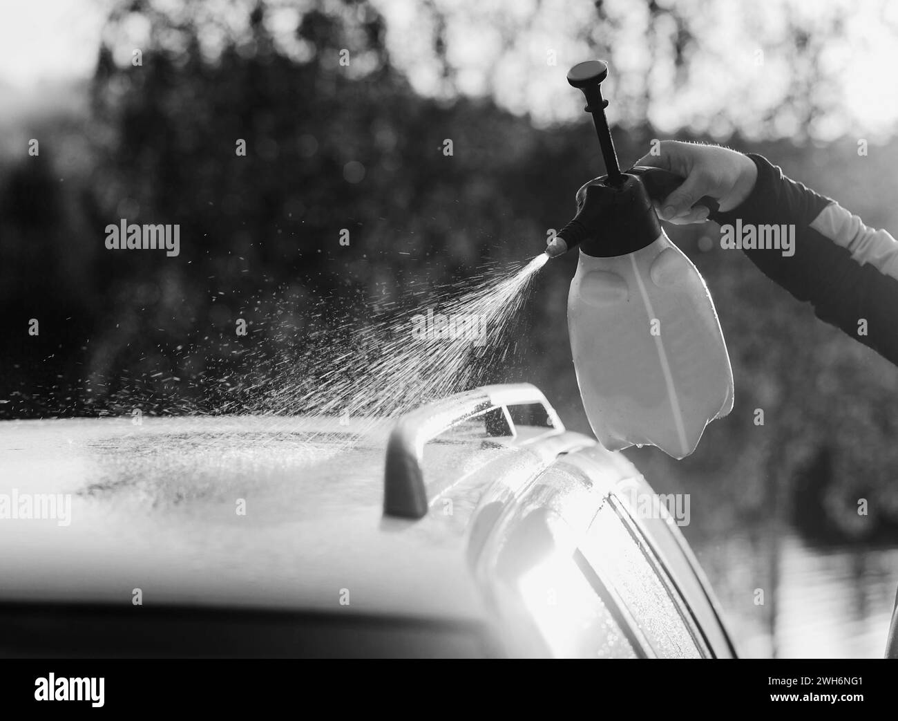 Outdoors Car Washing Cleaning Car Using High Pressure Water Stock simpson-100-ft-pressure-washer-hose-at-lowes