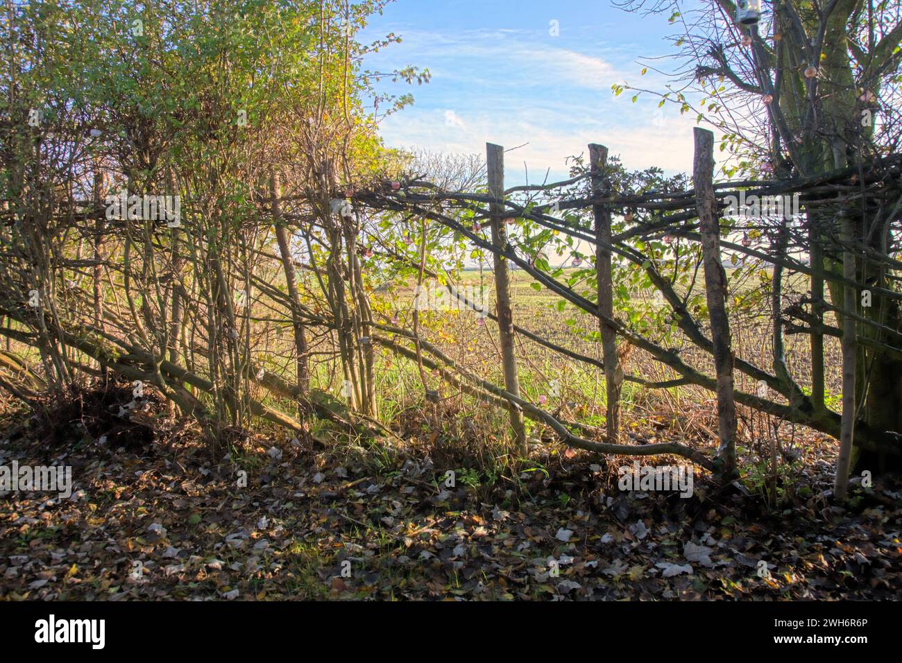 Country fence hi-res stock photography and images - Alamy