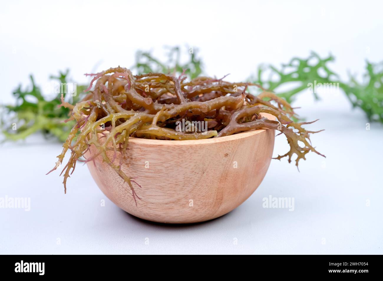 Fresh Graciillaria Spp seaweed in wooden bowl isolated on white background Stock Photo