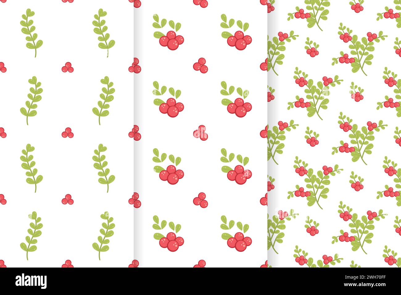 Set of three vector seamless floral patterns on white backgrounds. Flowers, berries, and leaves. For fabrics, wallpaper, covers, background, wrapping Stock Vector