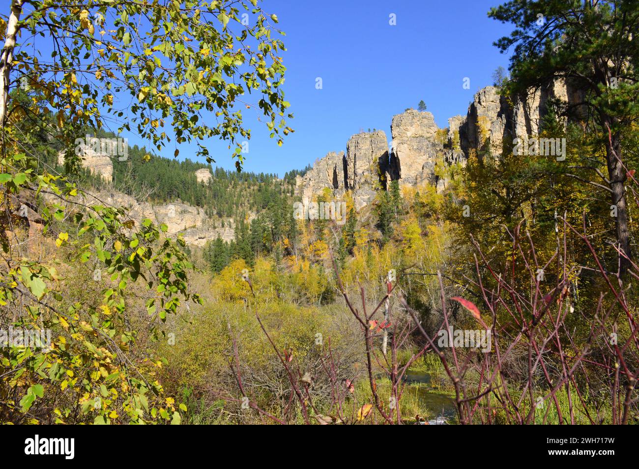 Beautiful  Black Hills Landscape in the fall Stock Photo