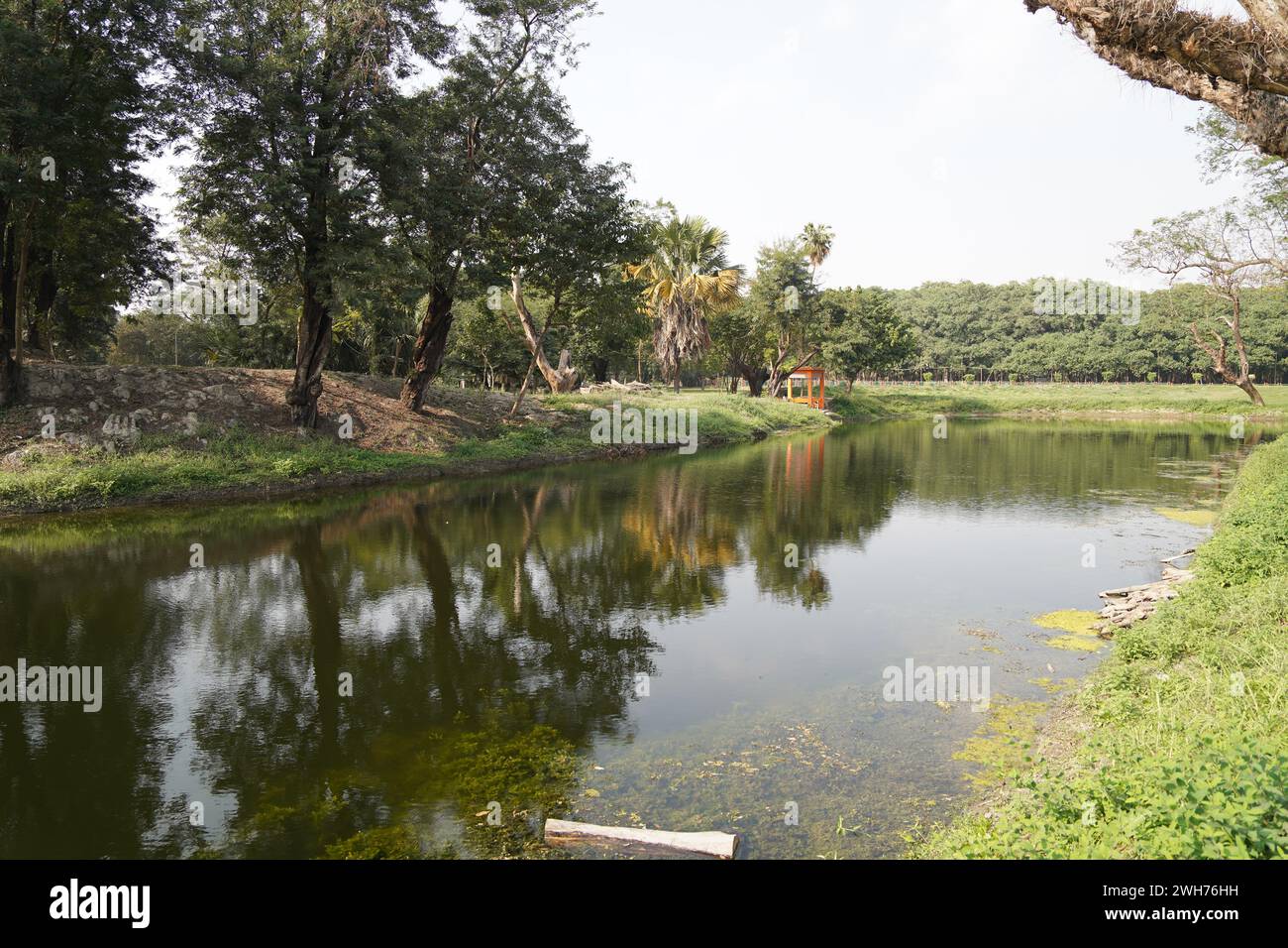 Prain Lake. Acharya Jagadish Chandra Bose Indian Botanic Garden. Howrah, Kolkata, West Bengal, India. Stock Photo