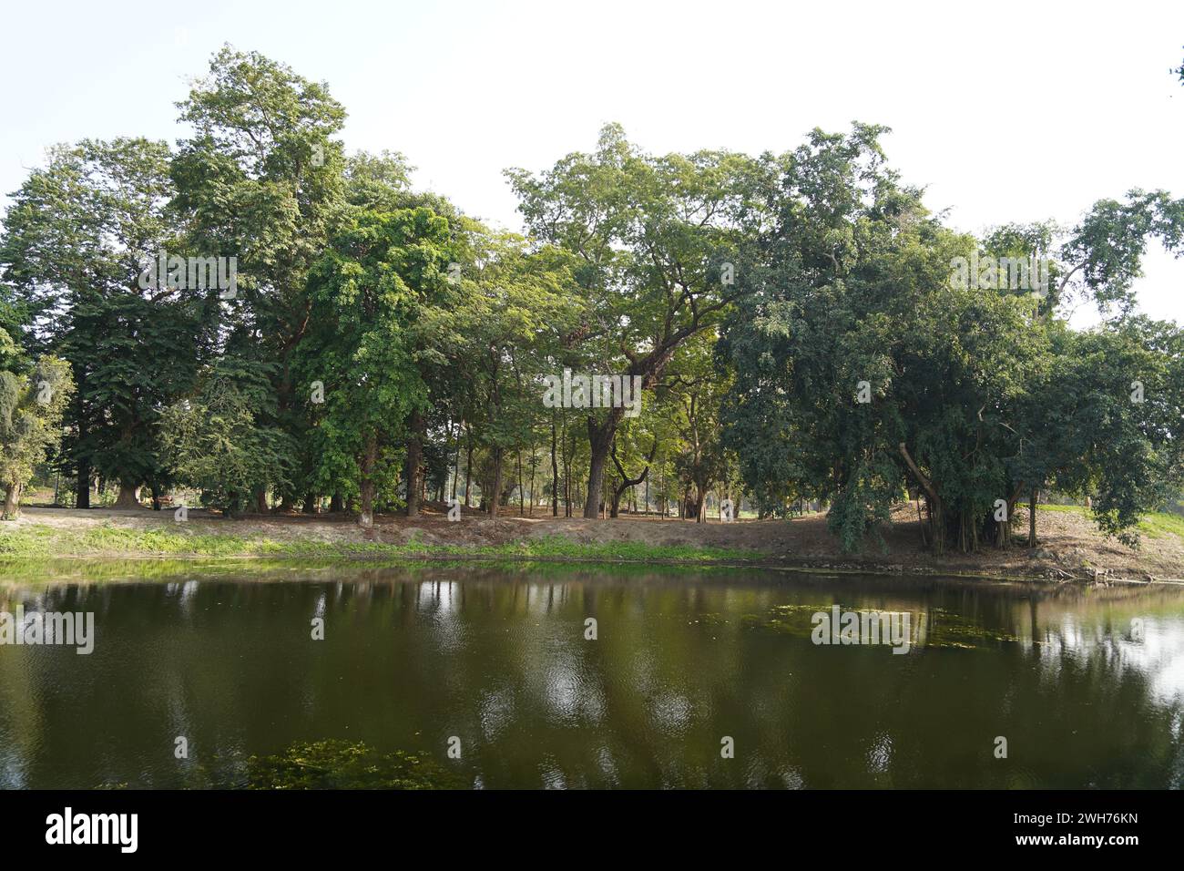 Prain Lake. Acharya Jagadish Chandra Bose Indian Botanic Garden. Howrah, Kolkata, West Bengal, India. Stock Photo