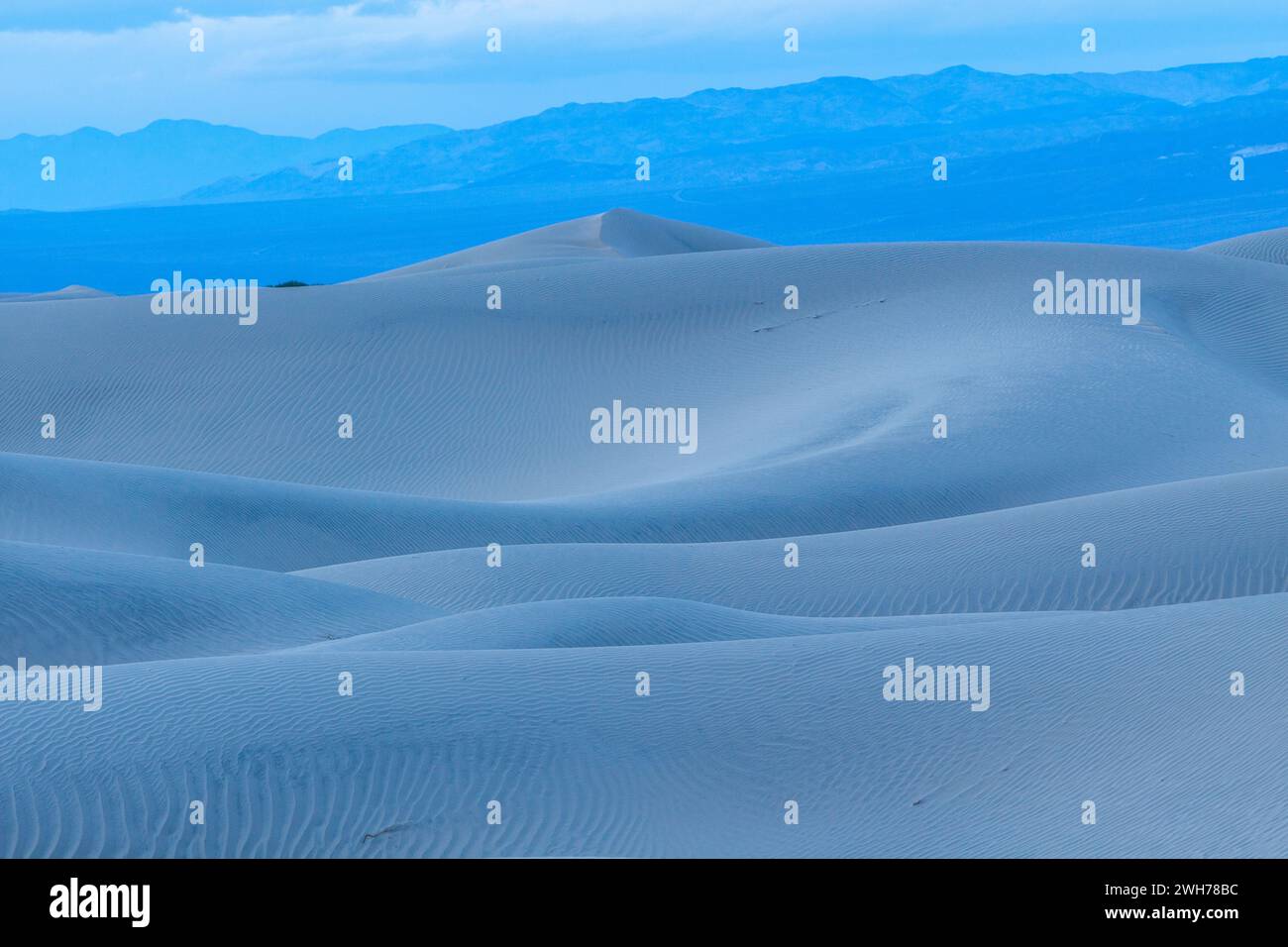 Mesquite Flat sand dunes at evening twilight in Death Valley National ...