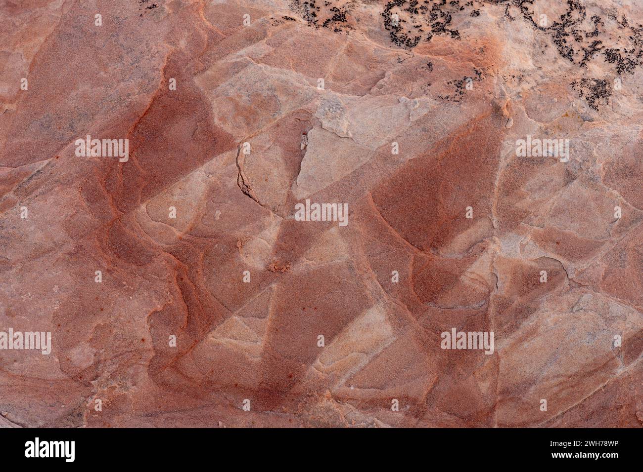 Eroded Navajo sandstone formations in the White Pocket Recreation Area, Vermilion Cliffs National Monument, Arizona.  Small laterally displaced faults Stock Photo