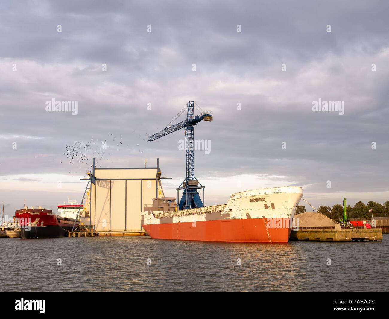 Weathered ship, crane and flock of crows in harbour of Lemmer, Friesland, Netherlands Stock Photo