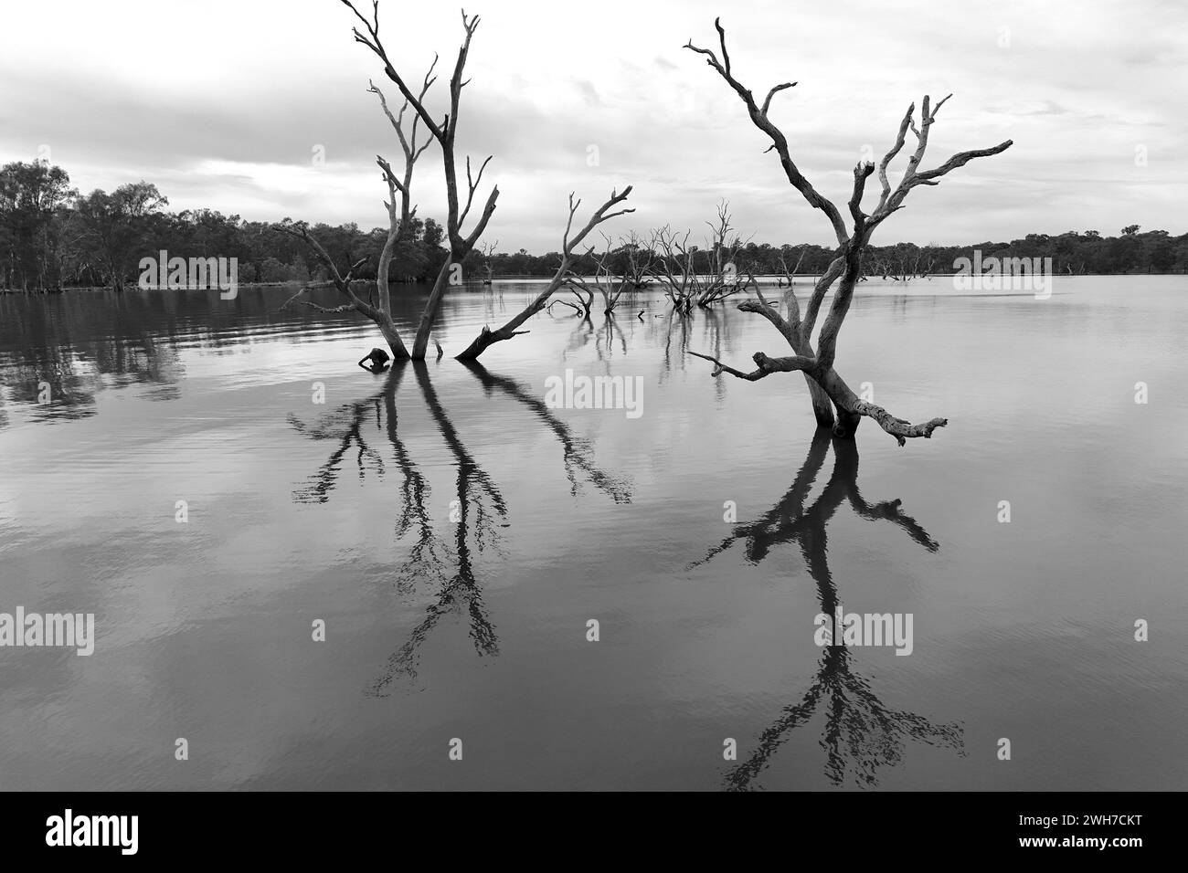 extreme flooding, Lake Eppalock flood zone Australia Stock Photo