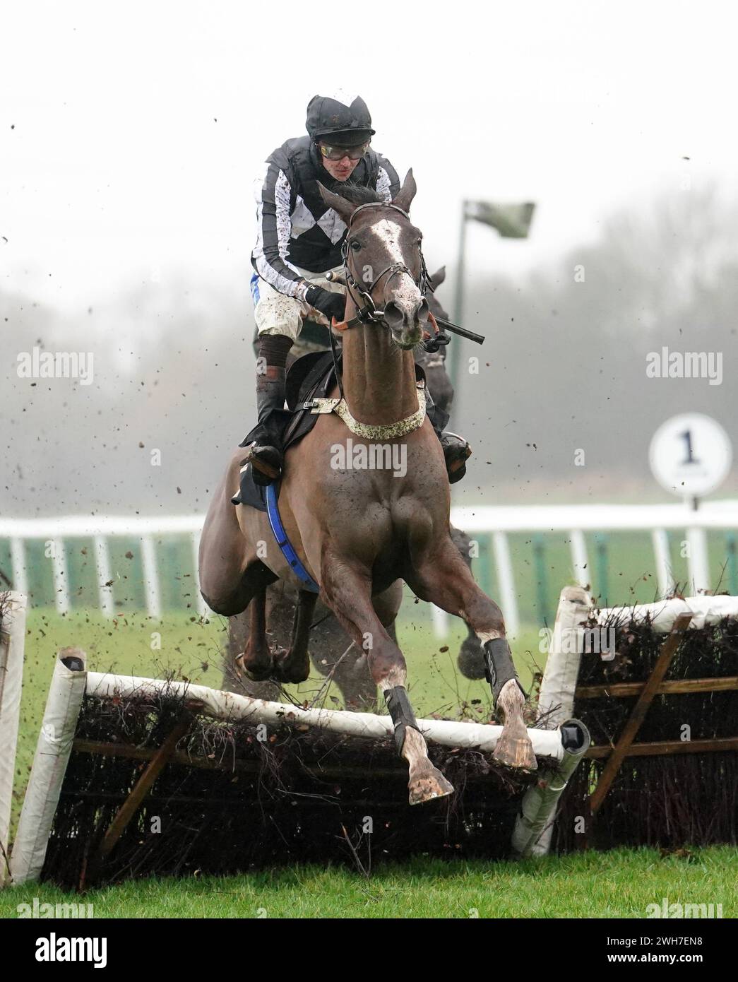 Diamond Ri ridden by Brendan Powell on their way to placing fourth in the the M1 Agency Sidney Banks Memorial Novices' Hurdle at Huntingdon Racecourse, Cambridgeshire. Picture date: Thursday February 8, 2024. Stock Photo
