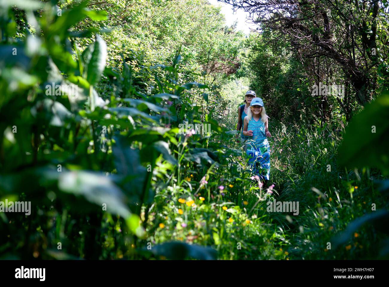 Explore exploring discovery hi-res stock photography and images - Alamy