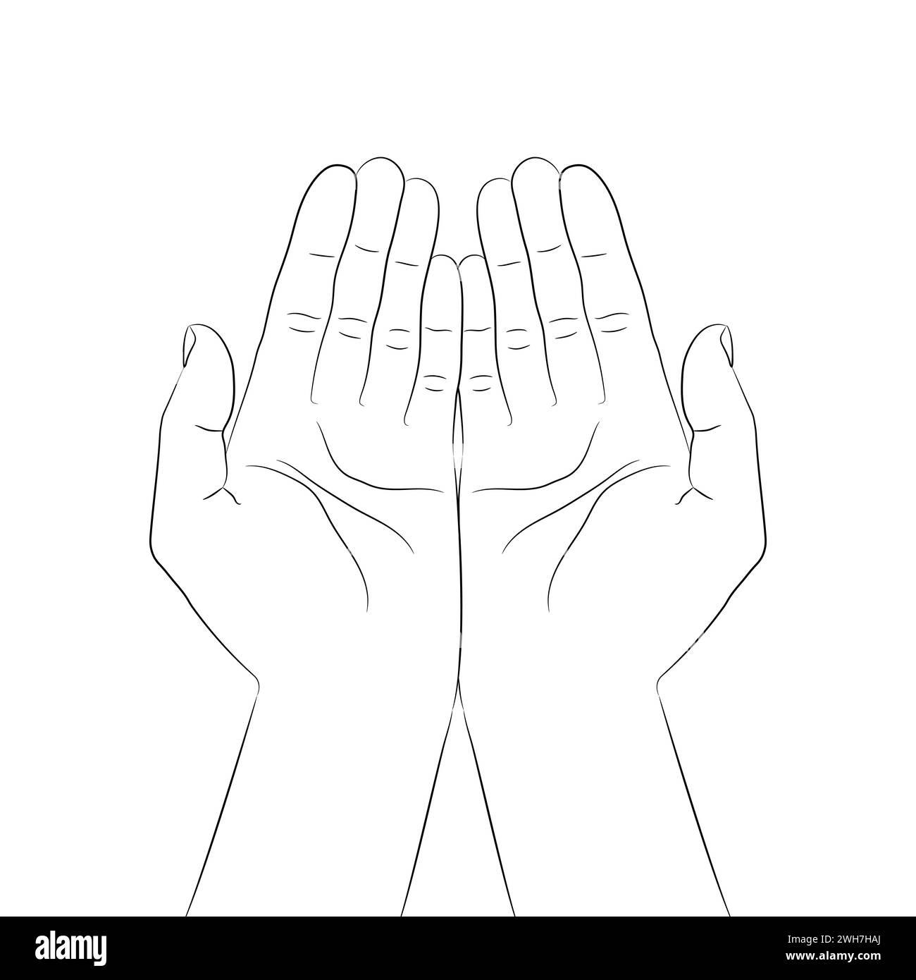Giving or taking hand gesture. Outline of cupped hands with open palms. Hands carefully holding something. Vector illustration Stock Vector