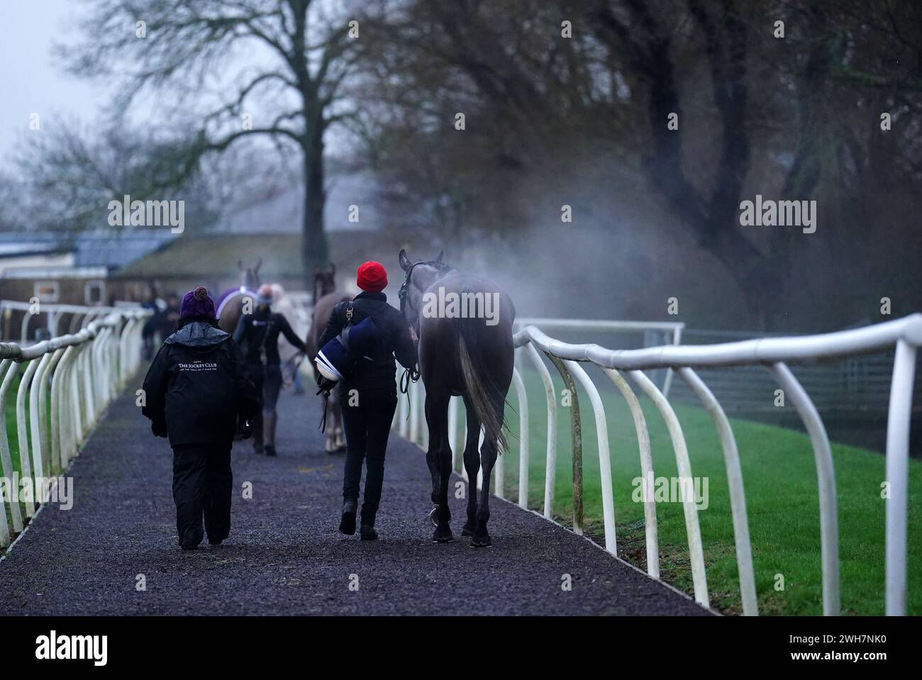 Horses led back to the stable at Huntingdon Racecourse, Cambridgeshire