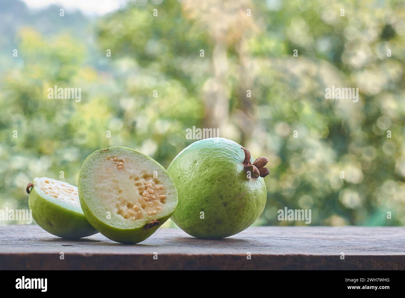 guava isolated on blurry garden background, oval shaped common tropical and nutrient-rich fruit that is high in vitamin c, fiber and antioxidants Stock Photo