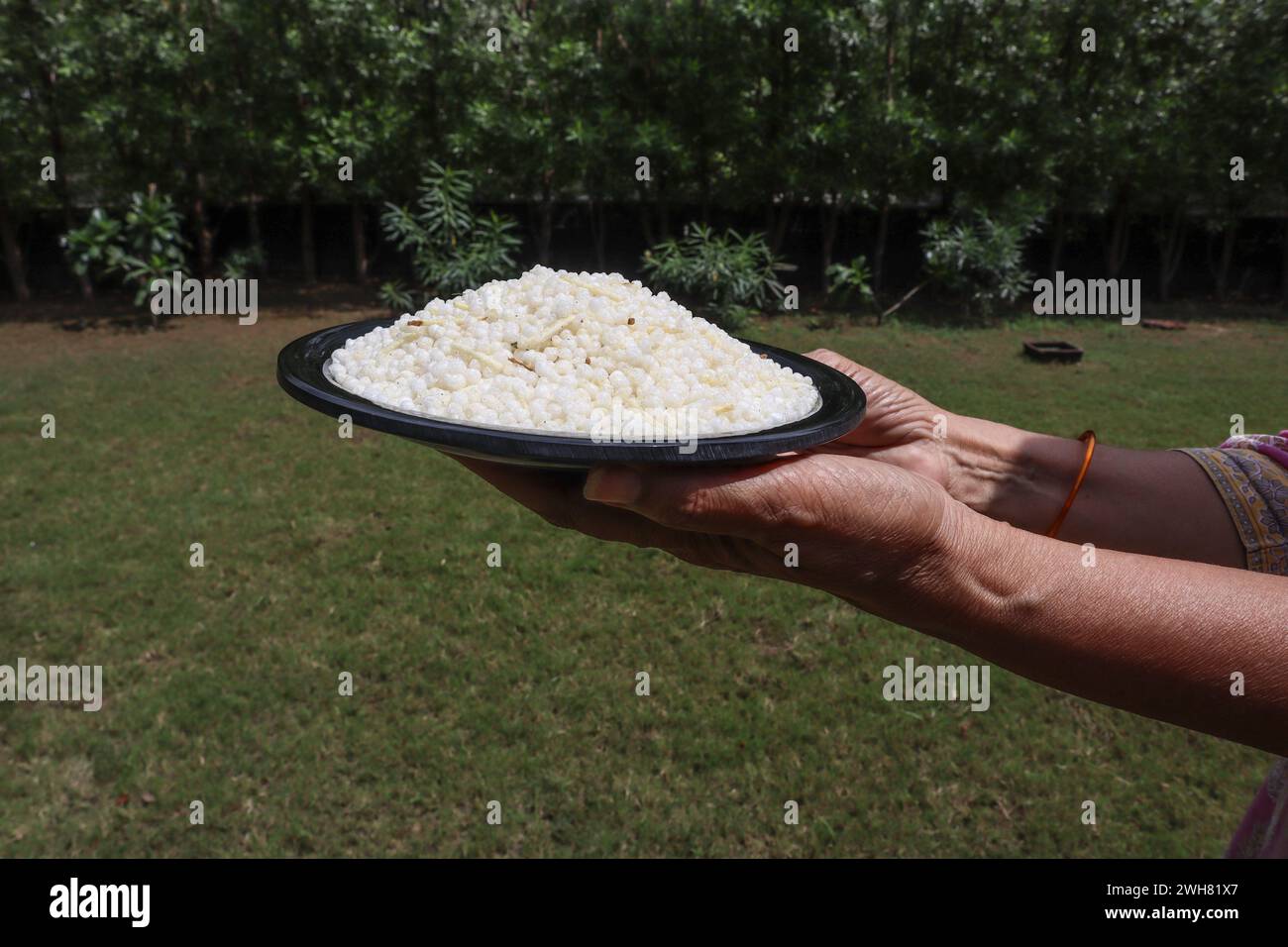Female holding and serving Namkeen Sabudana Falhari Chiwda made of Sago balls eaten during Fasting days in India known as Upawas or Faral. White sago Stock Photo