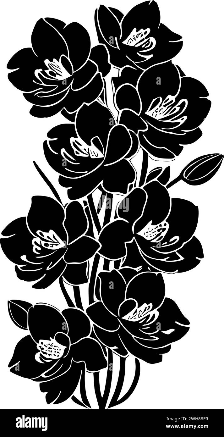 simple black outline drawing silhouette of orchid flower, design Stock Photo