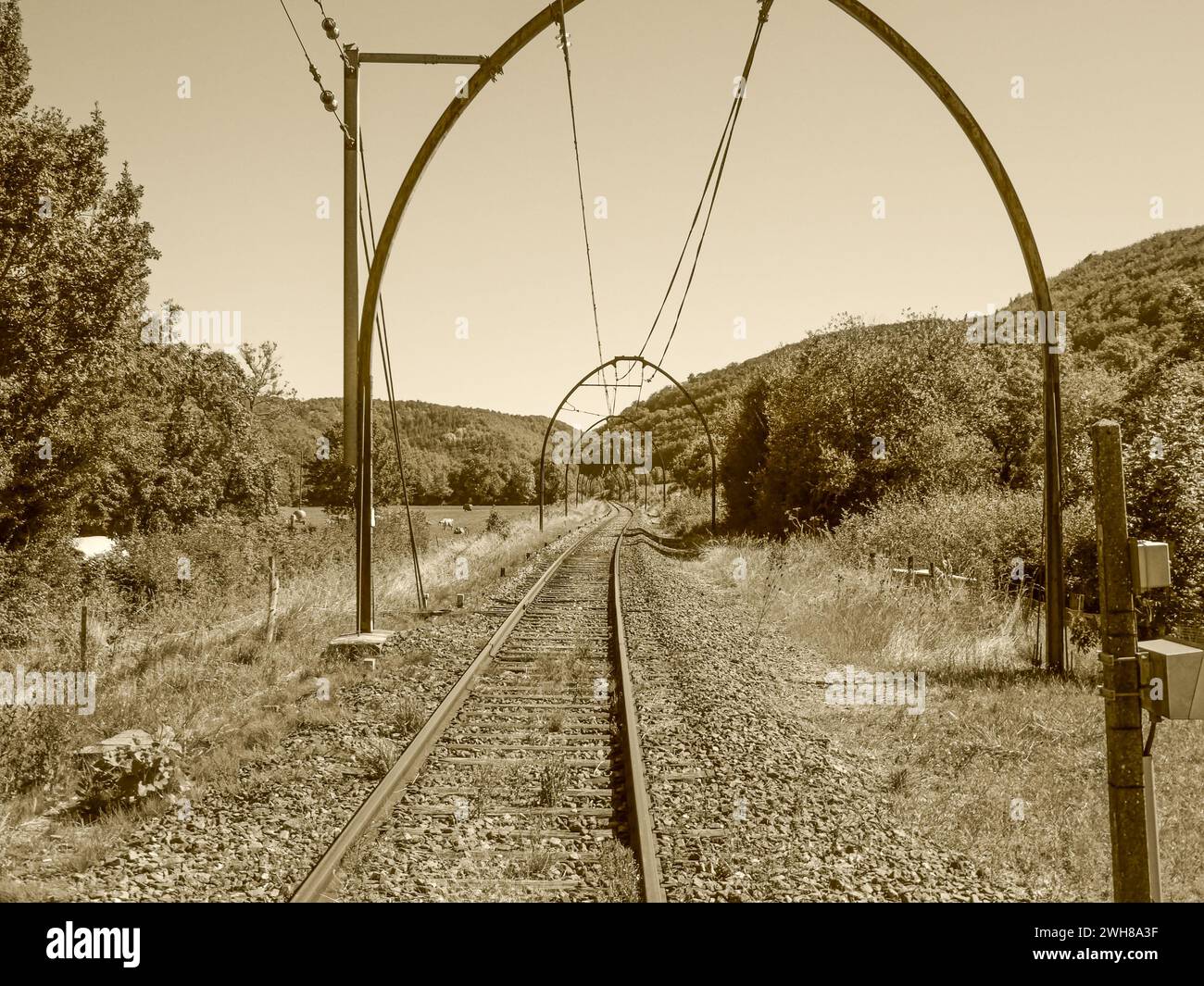 Multiple overhead wires run parallel to train tracks on the ground