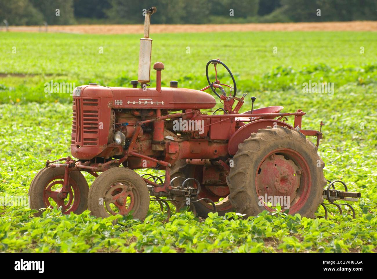 Tractor, Greens Bridge Gardens, Linn County, Oregon Stock Photo Alamy