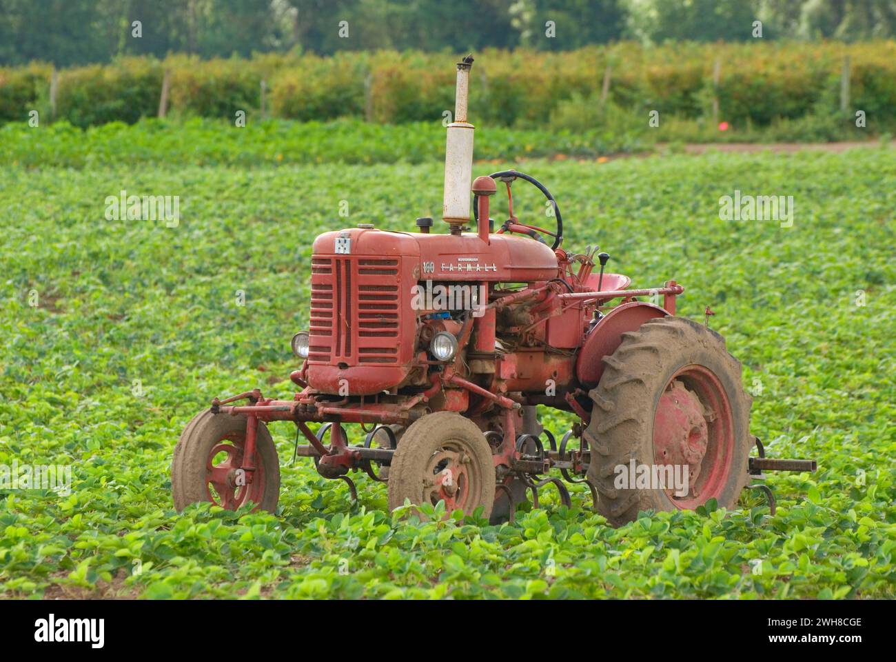 Tractor, Greens Bridge Gardens, Linn County, Oregon Stock Photo Alamy