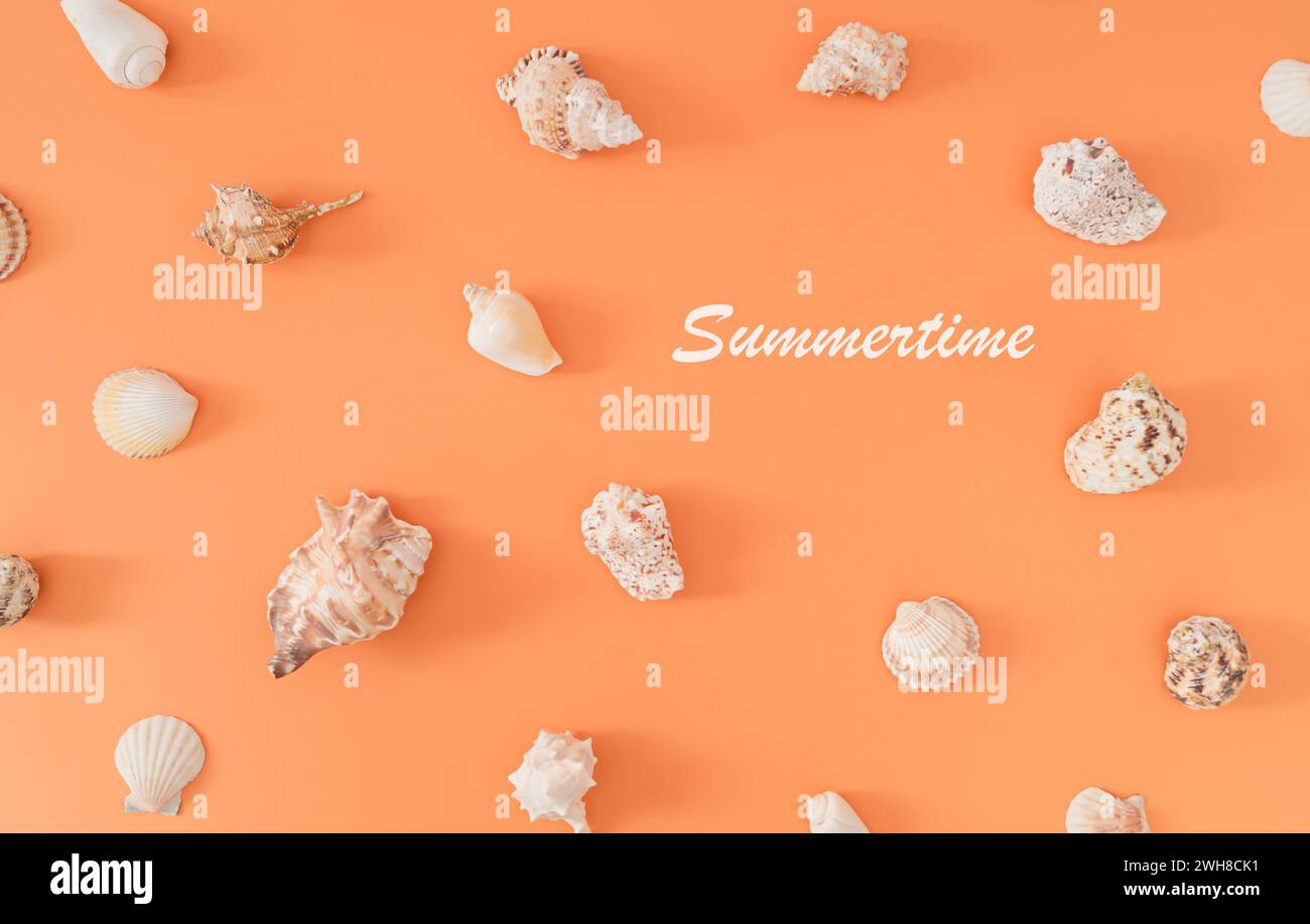 Trendy summer pattern made of sea shells on pastel peachy orange background. Nature summertime concept. Minimal sea shells pattern composition. Stock Photo