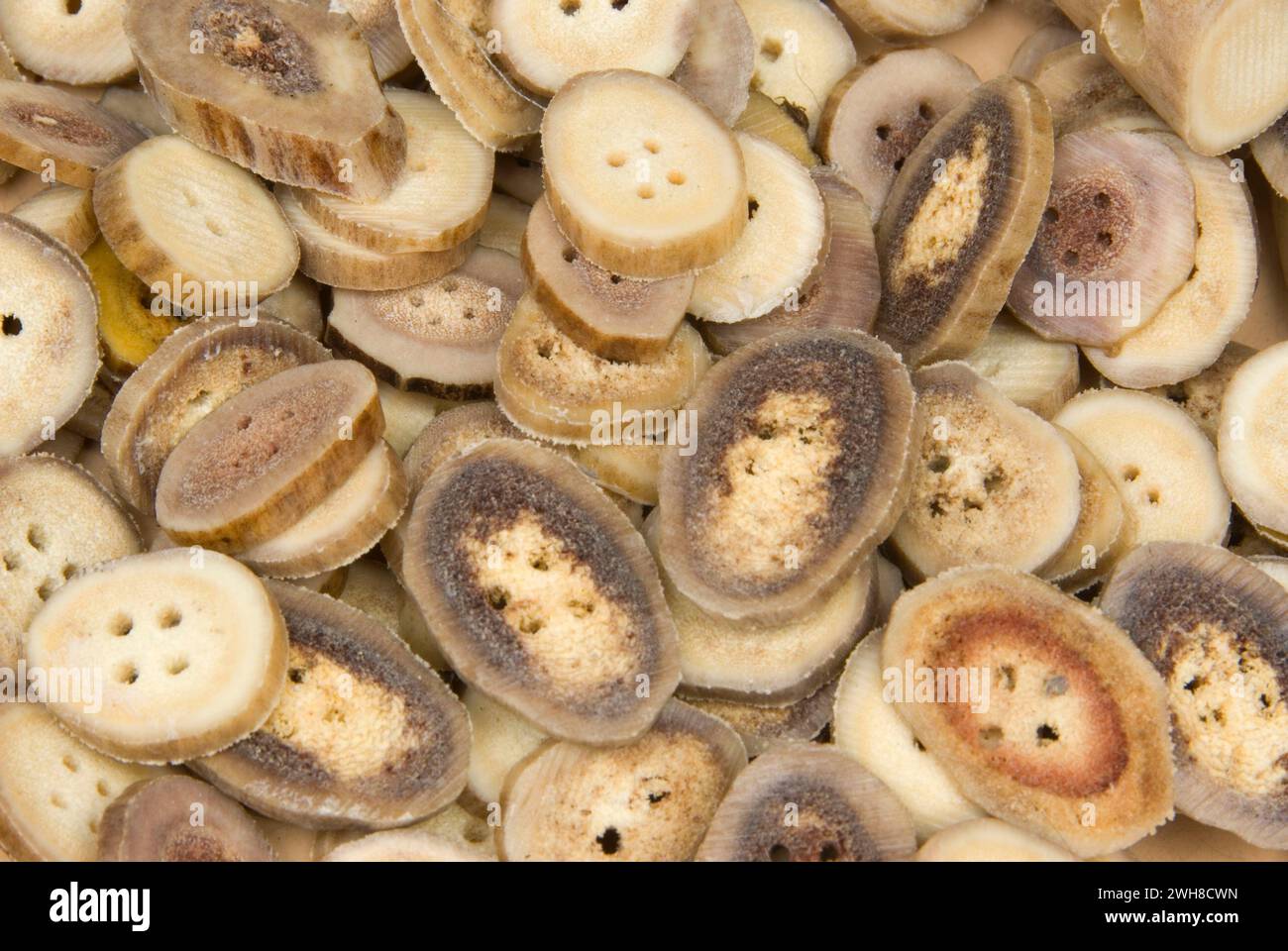 Antler buttons, Daffodil Drive Festival, Junction City, Oregon Stock