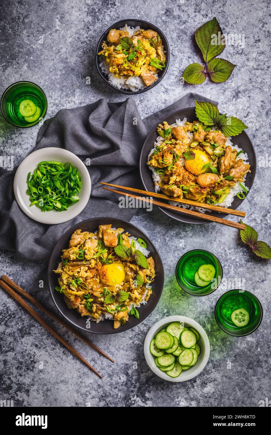 Arrangment of dark bowls with Japanese chicken, egg and rice, with ...