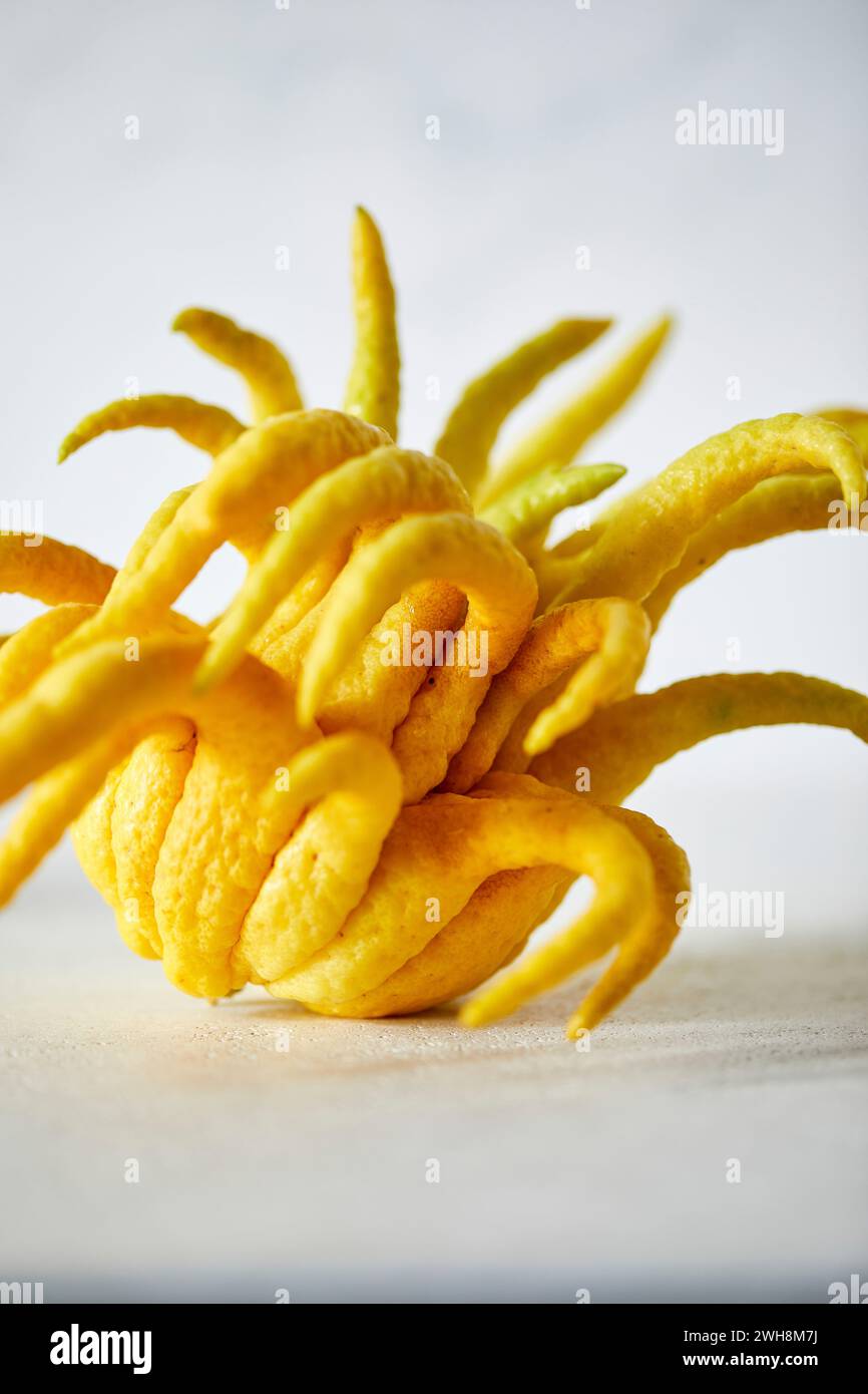 Buddha's Hand Citron Close-Up Stock Photo