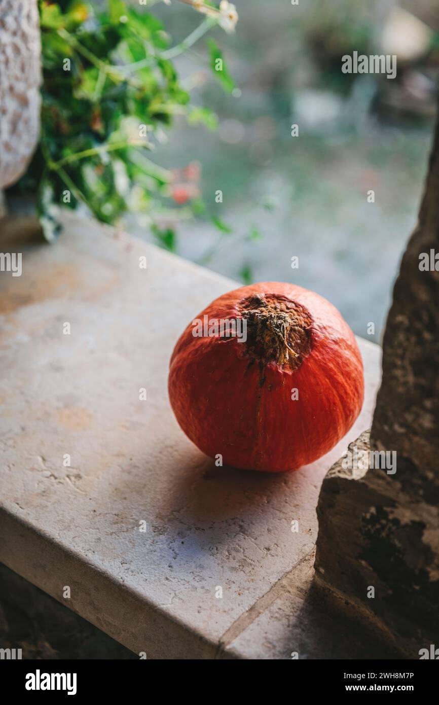 Pumpkin outside on the stone surface Stock Photo