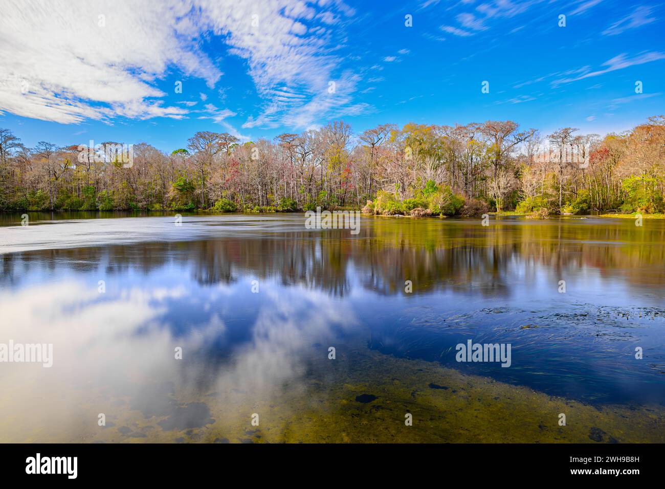 A breathtaking view of Wakulla Springs, where crystal-clear waters meet warm earth tones, creating an enchanting landscape that charms the mind. Stock Photo