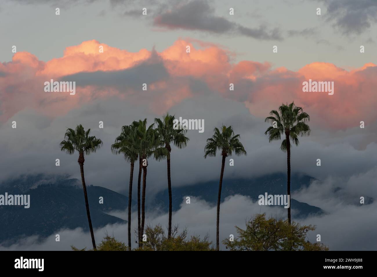 . Stock Photo