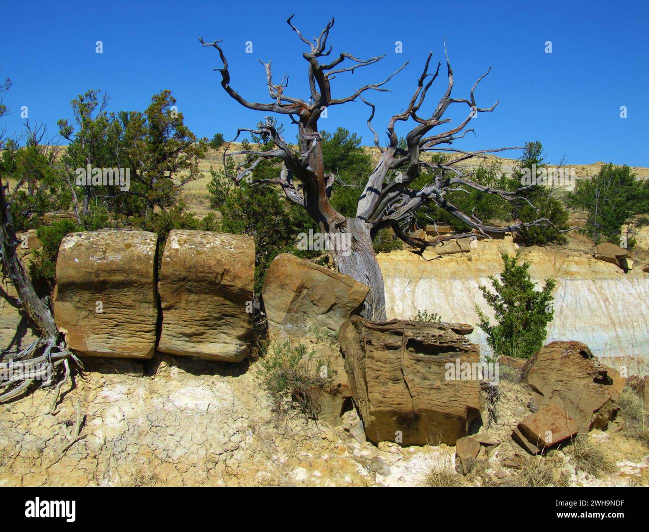 Formation scenery/landscape in Terry Badlands Wilderness Study Area, Montana Stock Photo