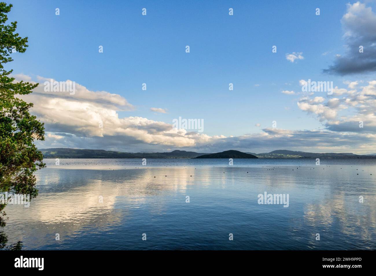 Looking south towards Mokoia Island from the north shore of Lake Rotorua, Bay of Plenty, New Zealand. Stock Photo