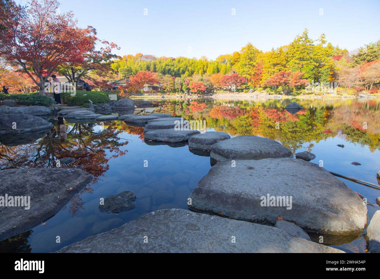 Panoramic Autumn view at the Japanese Garden of Showa Kinen Koen or Showa Memorial Park with red leaves and colourful trees, Tachikawa, Tokyo, Japan Stock Photo