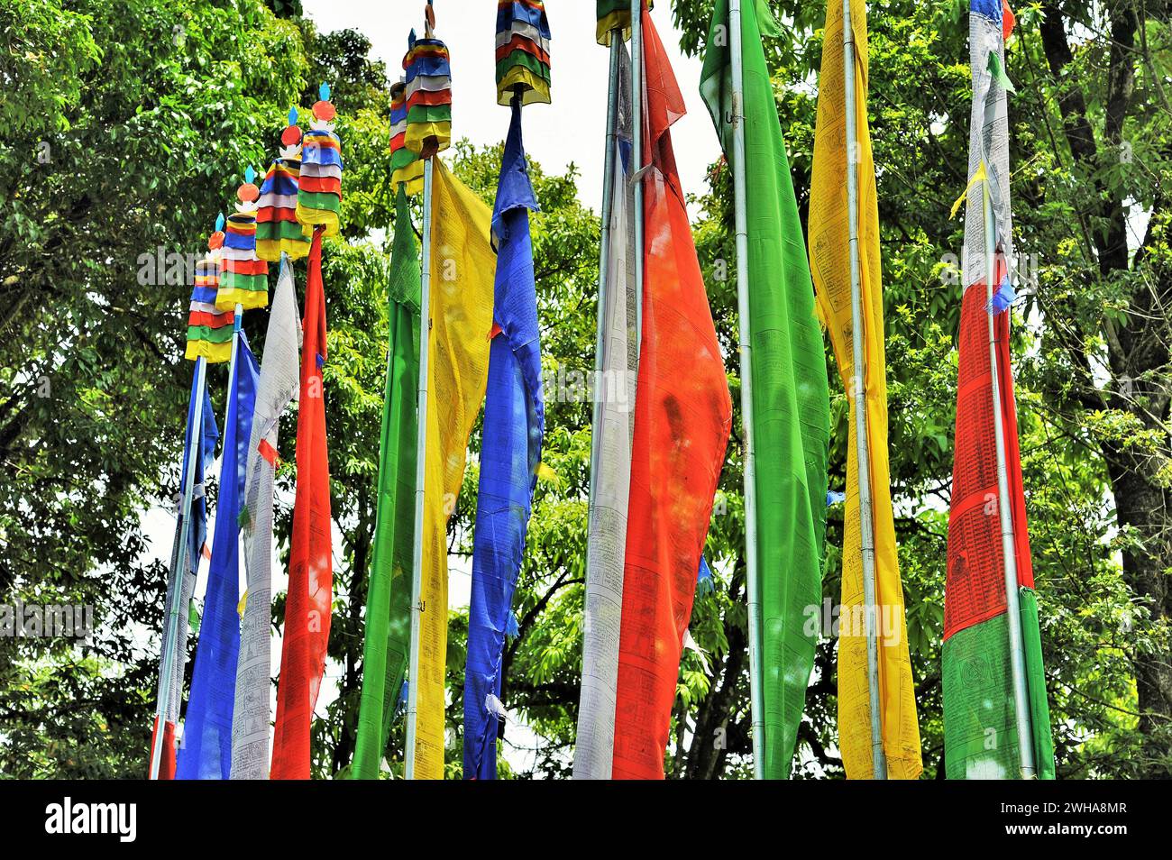 Buddhist prayer flags, Mall Road, Chowrasta, Darjeeling, West Bengal ...