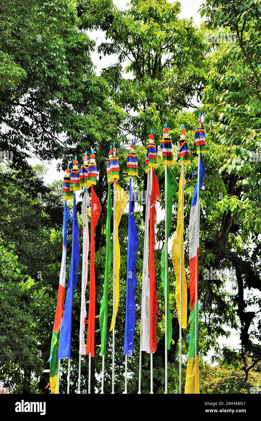 Buddhist prayer flags, Mall Road, Chowrasta, Darjeeling, West Bengal ...
