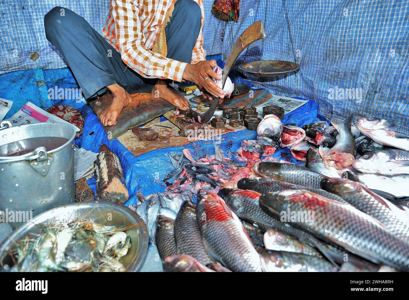 Man cutting fish, Mall Road, Chowrasta, Darjeeling, West Bengal, India, Asia Stock Photo