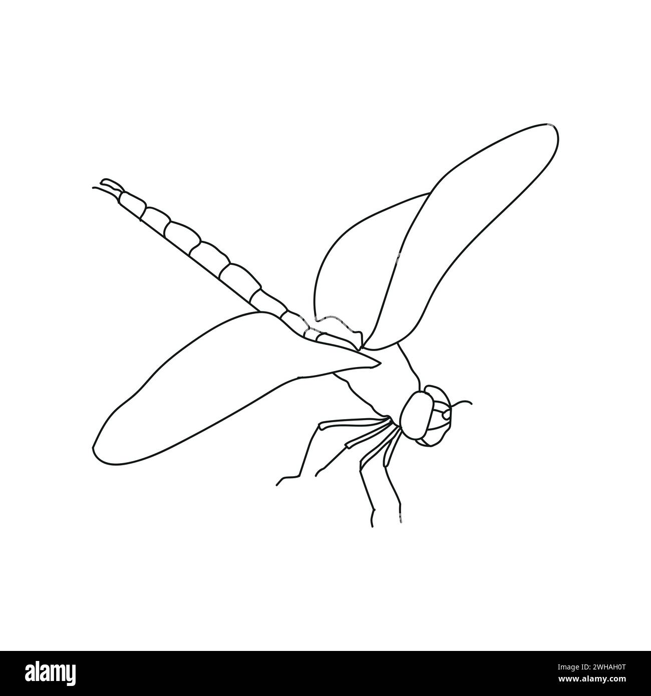 vector line art of lear and dragon fly with white background Stock Vector