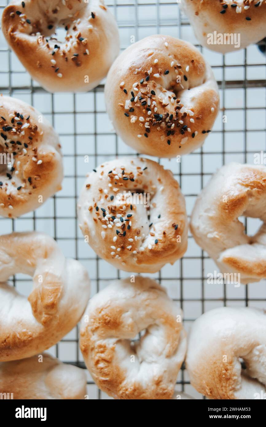 Sourdough bagels on rack, everything or plain Stock Photo