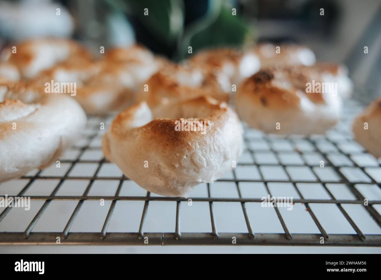 Sourdough bagels on rack, everything or plain Stock Photo