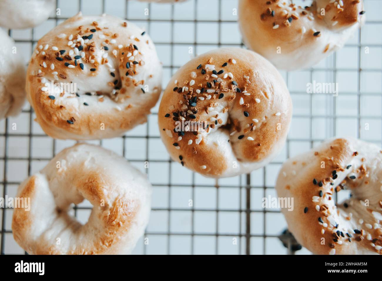 Sourdough bagels on rack, everything or plain Stock Photo
