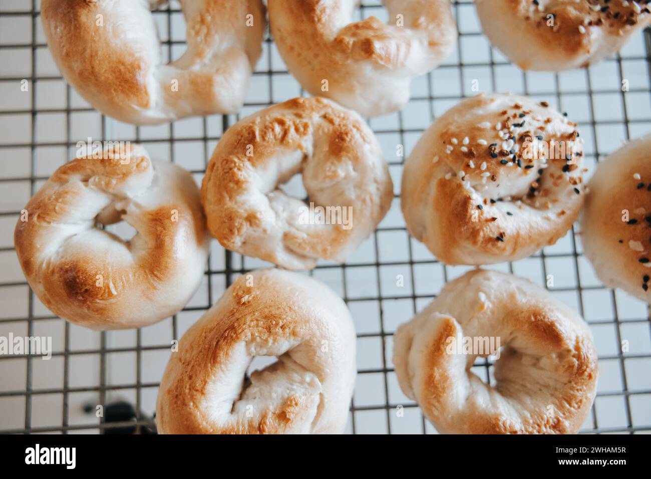 Sourdough bagels on rack, everything or plain Stock Photo
